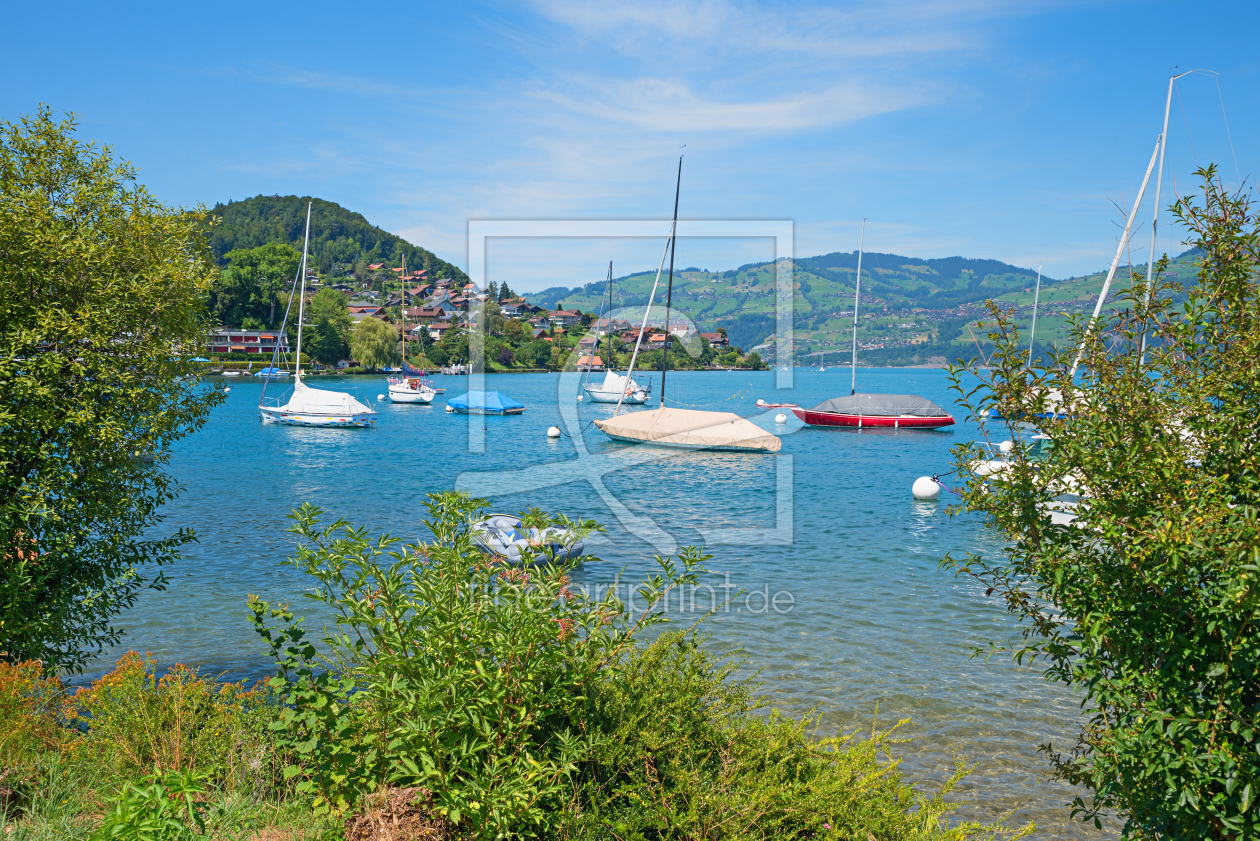 Bild-Nr.: 12755181 Sommer am Thunersee erstellt von SusaZoom