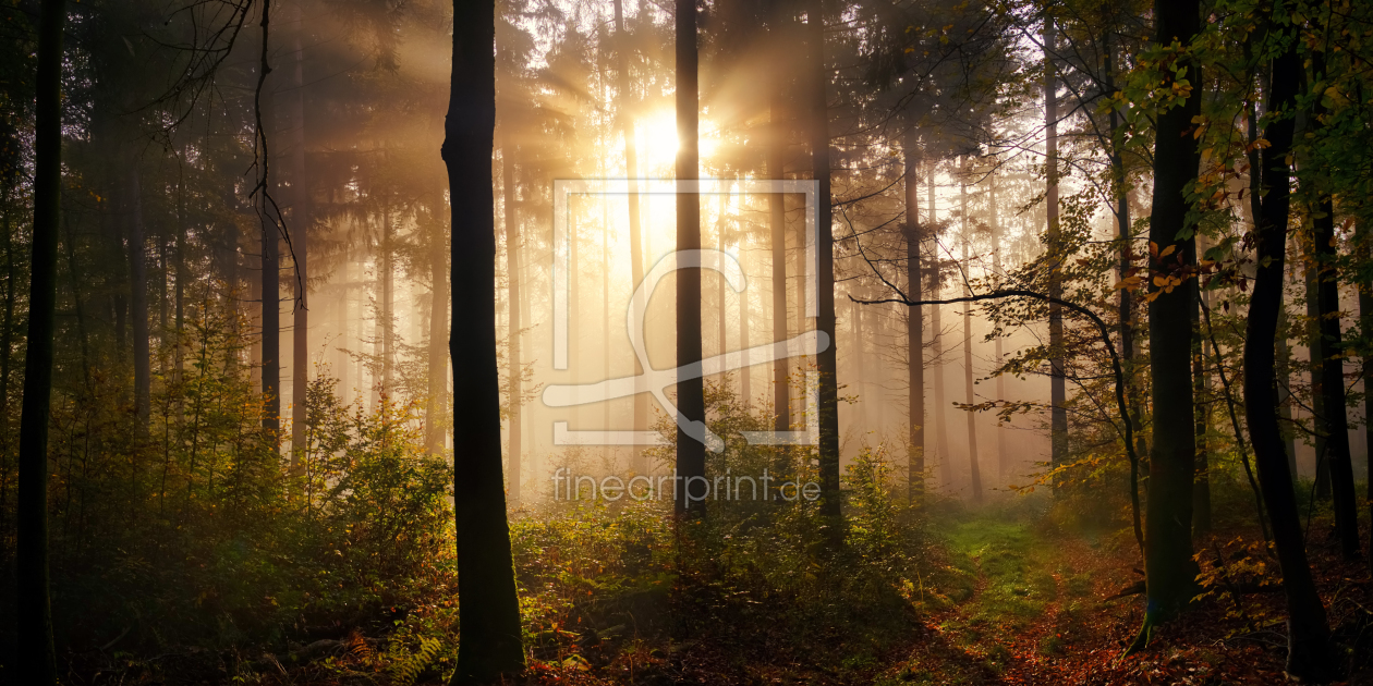 Bild-Nr.: 12755237 Bezaubernde Stimmung mit Sonnenstrahlen im Wald erstellt von Smileus