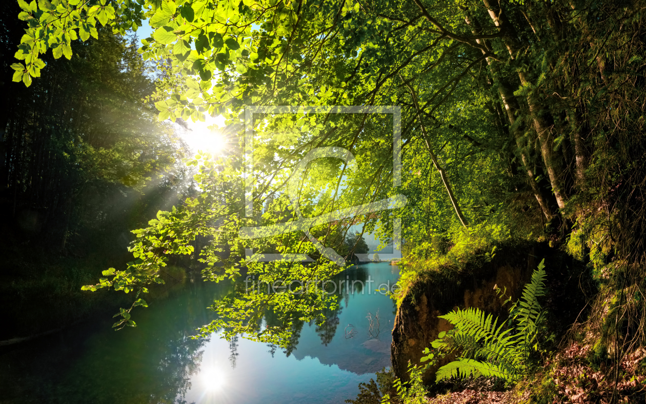 Bild-Nr.: 12755241 Die Sonne scheint durch üppige grüne Bäume am See erstellt von Smileus