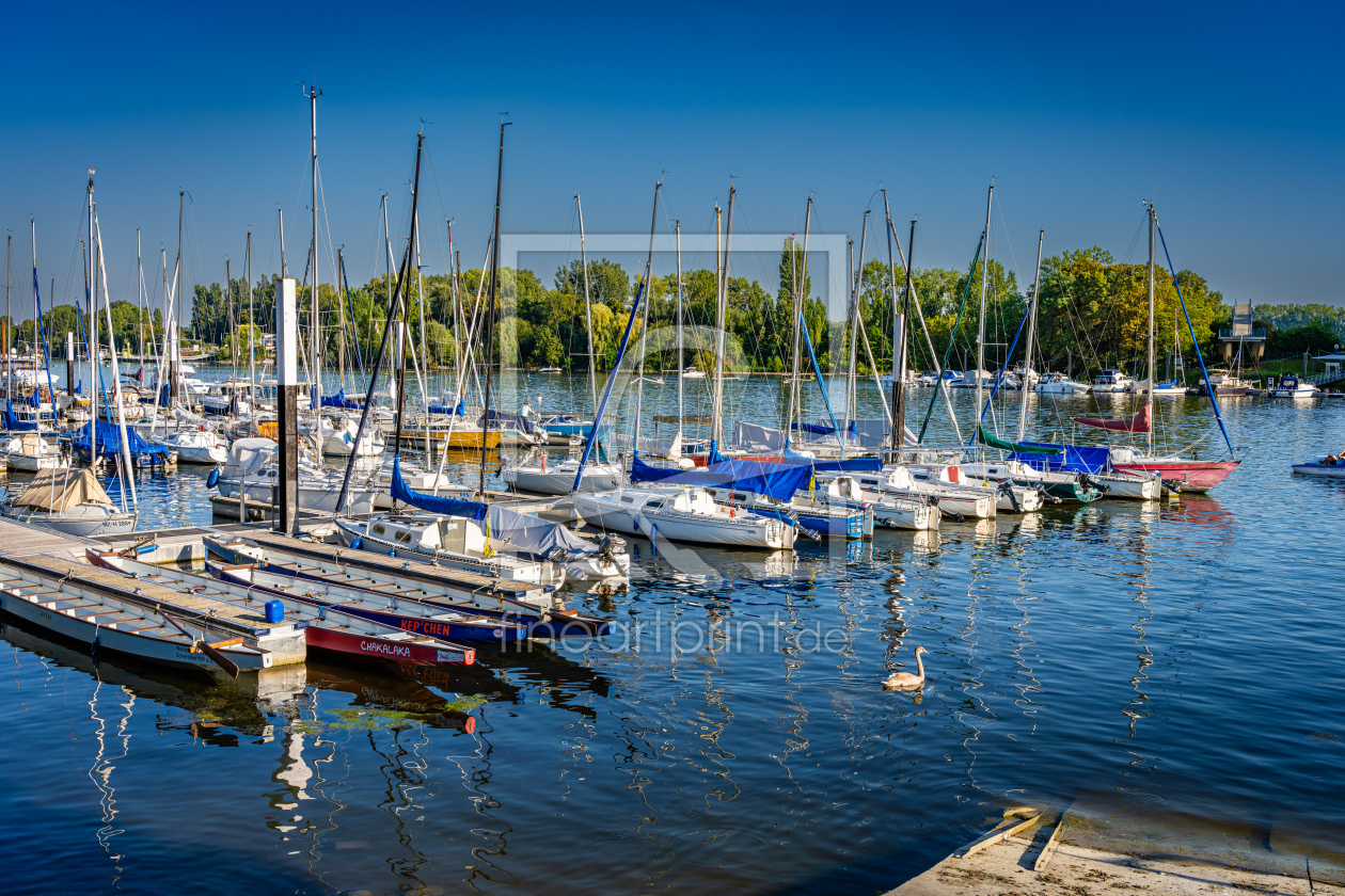 Bild-Nr.: 12768392 Schiersteiner Hafen 14 erstellt von Erhard Hess