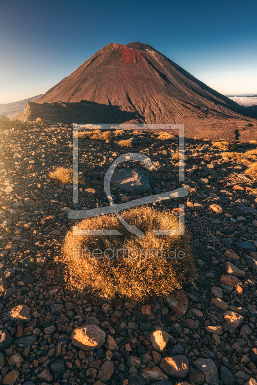 Bild-Nr.: 12769769 Neuseeland Mount Ngauruhoe Sonnenaufgang erstellt von Jean Claude Castor