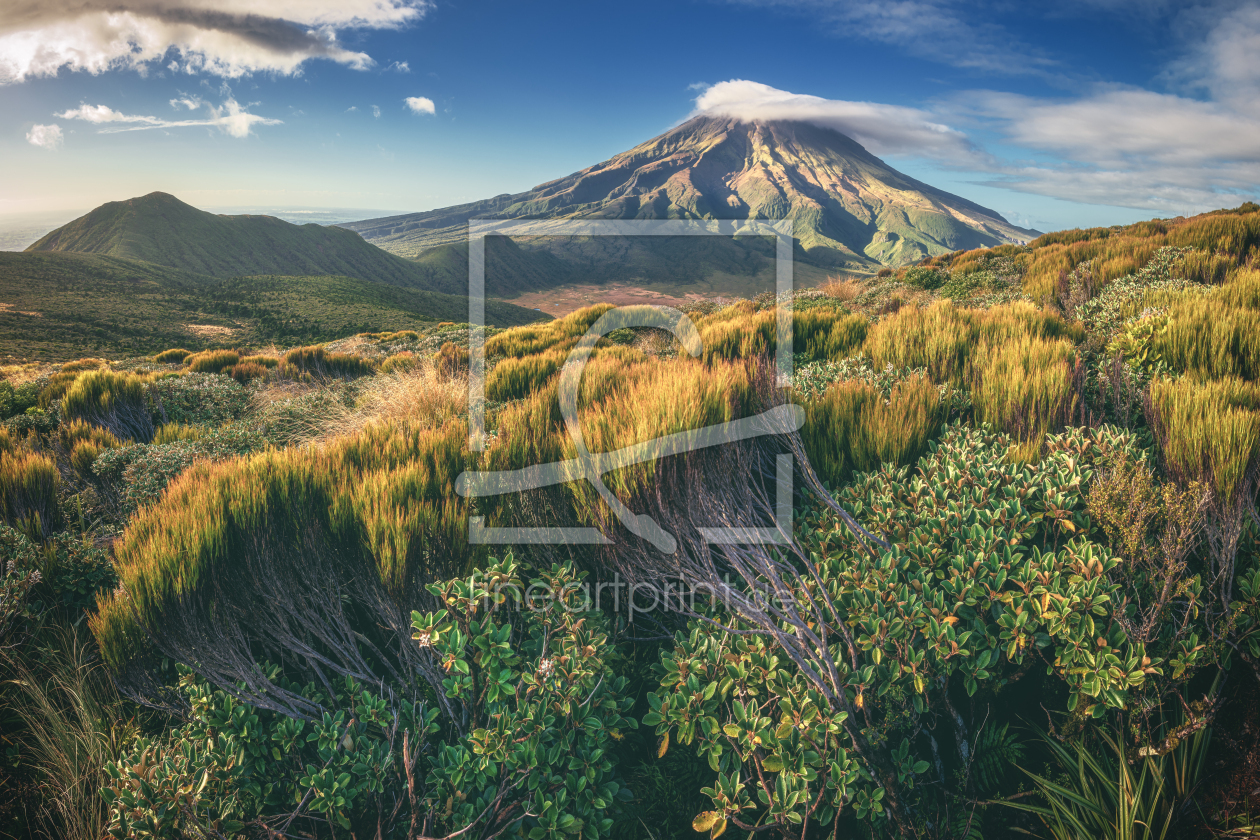 Bild-Nr.: 12769770 Neuseeland Mount Taranaki im Egmont Nationalpark erstellt von Jean Claude Castor