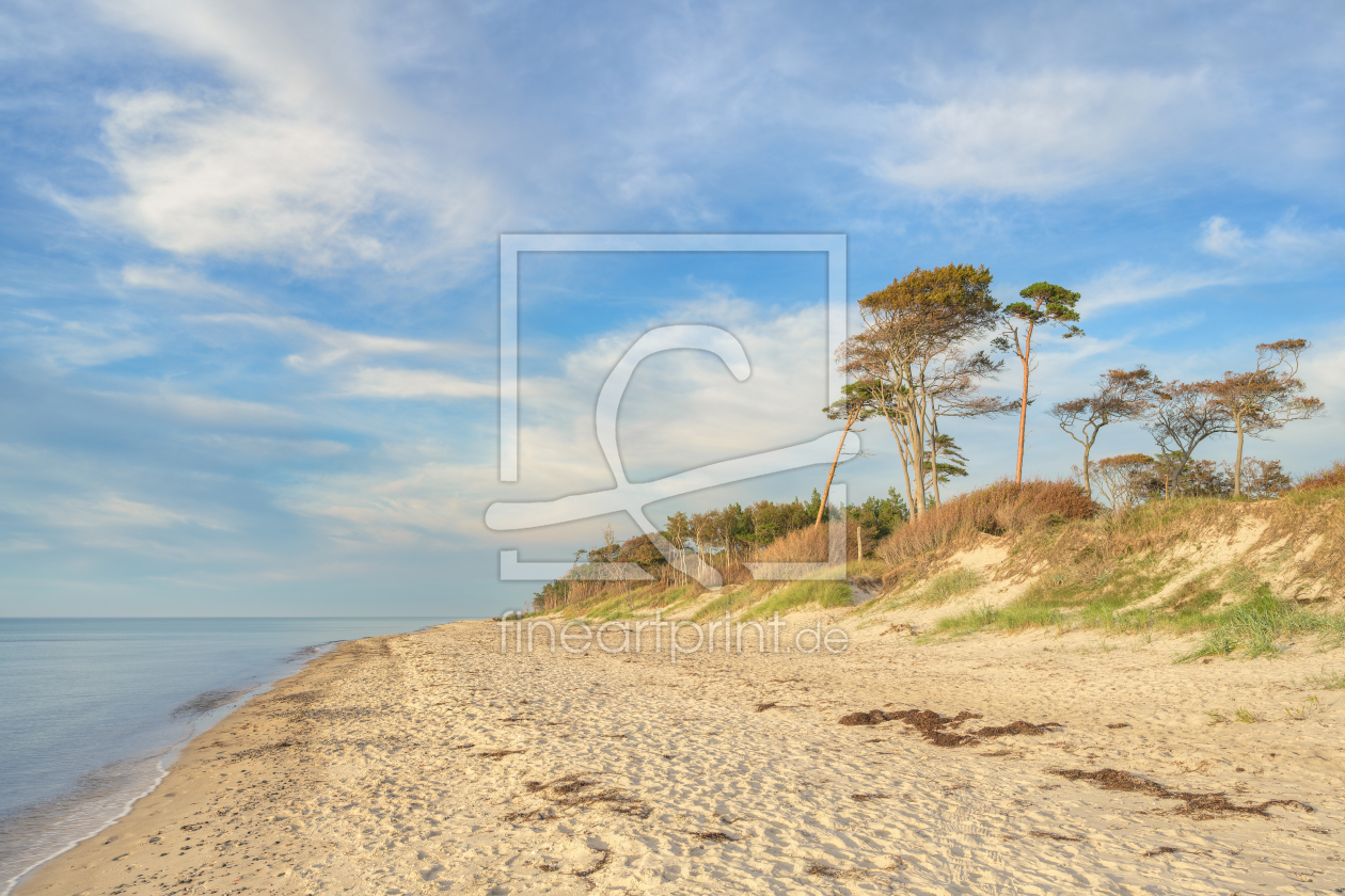 Bild-Nr.: 12778666 Abends am Darßer Weststrand erstellt von Michael Valjak