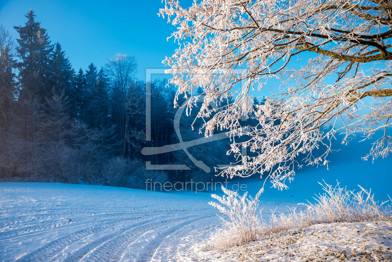 Bild-Nr.: 12814342 Wintermorgen am Waldrand erstellt von SusaZoom