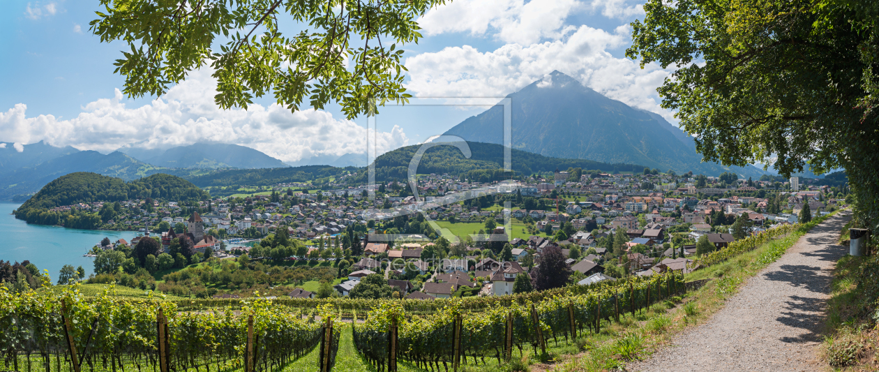 Bild-Nr.: 12818872 Aussicht vom Rebberg auf Spiez Berner Oberland erstellt von SusaZoom
