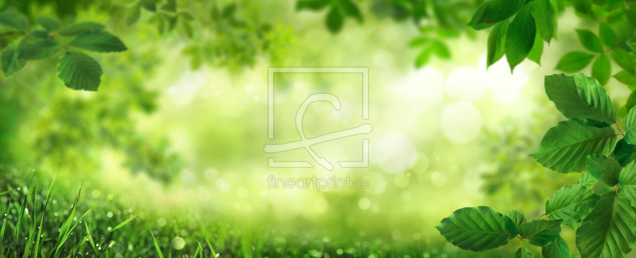 Bild-Nr.: 12822003 Grüne Blätter umrahmen einen Naturhintergrund erstellt von Smileus