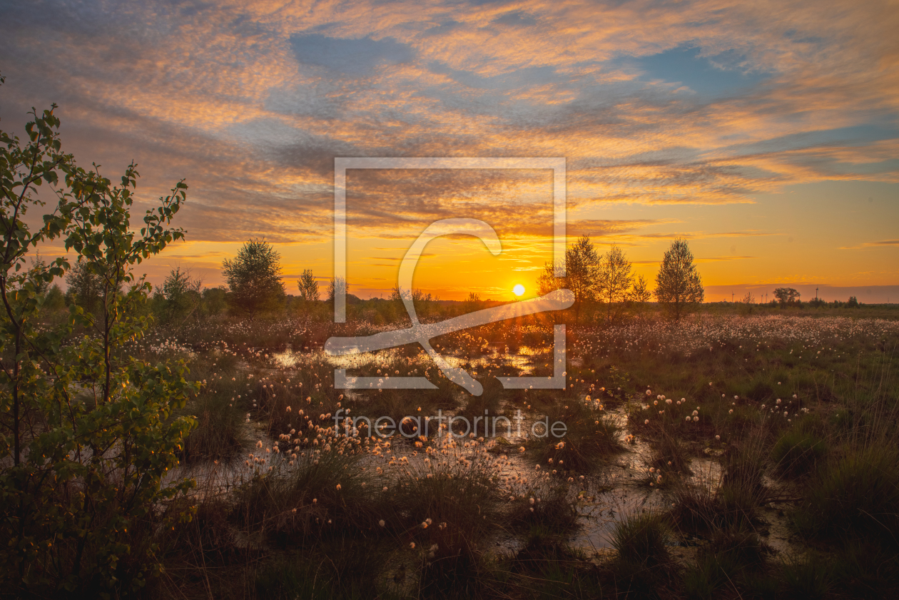 Bild-Nr.: 12822123 Moor Landschaft im Abendlicht erstellt von Tanja Riedel