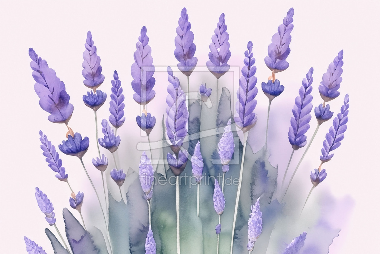 Bild-Nr.: 12831835 Fleur de Lavande KI erstellt von D. Toelke DigiArt / Photography