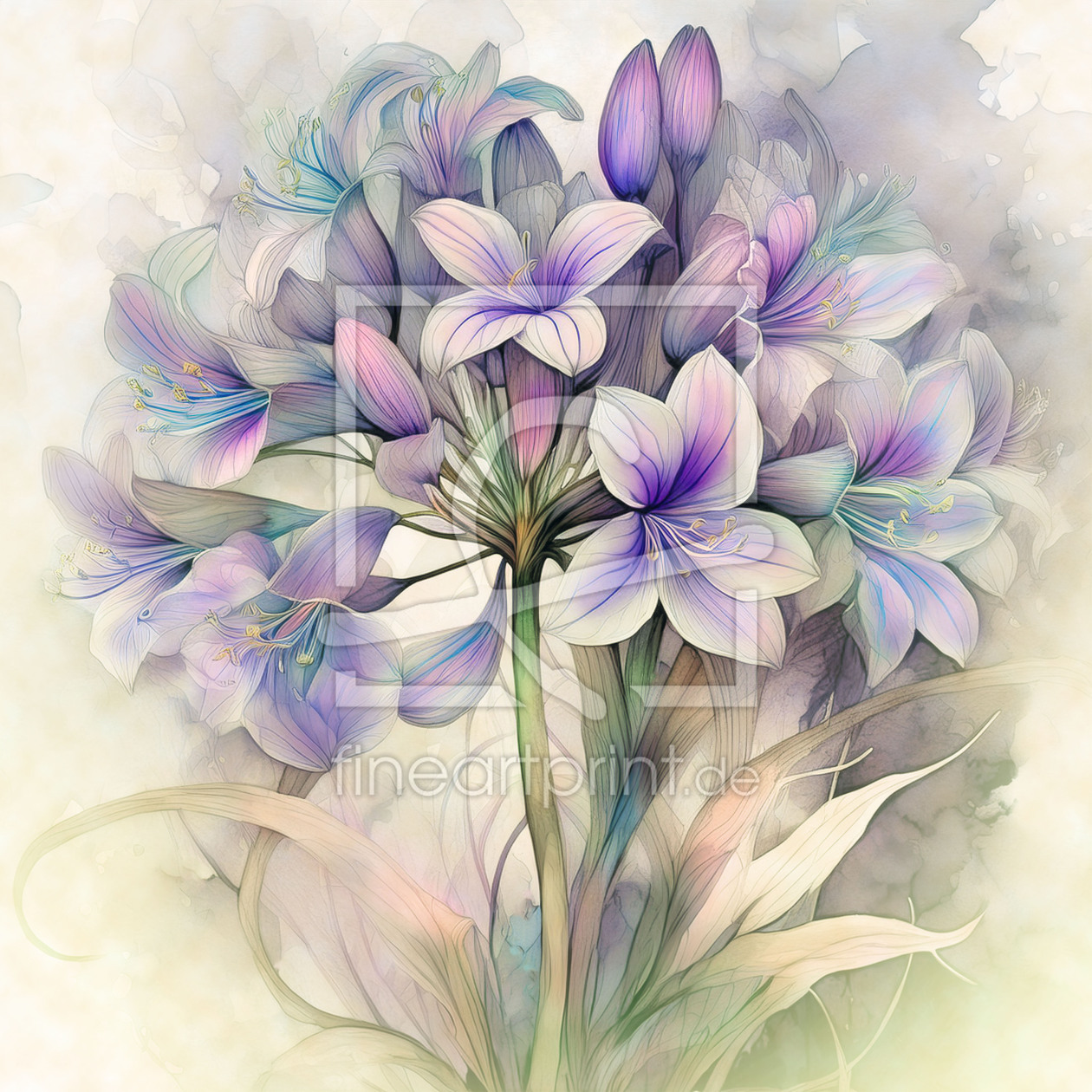 Bild-Nr.: 12834817 Agapanthus Fantasy erstellt von D. Toelke DigiArt / Photography
