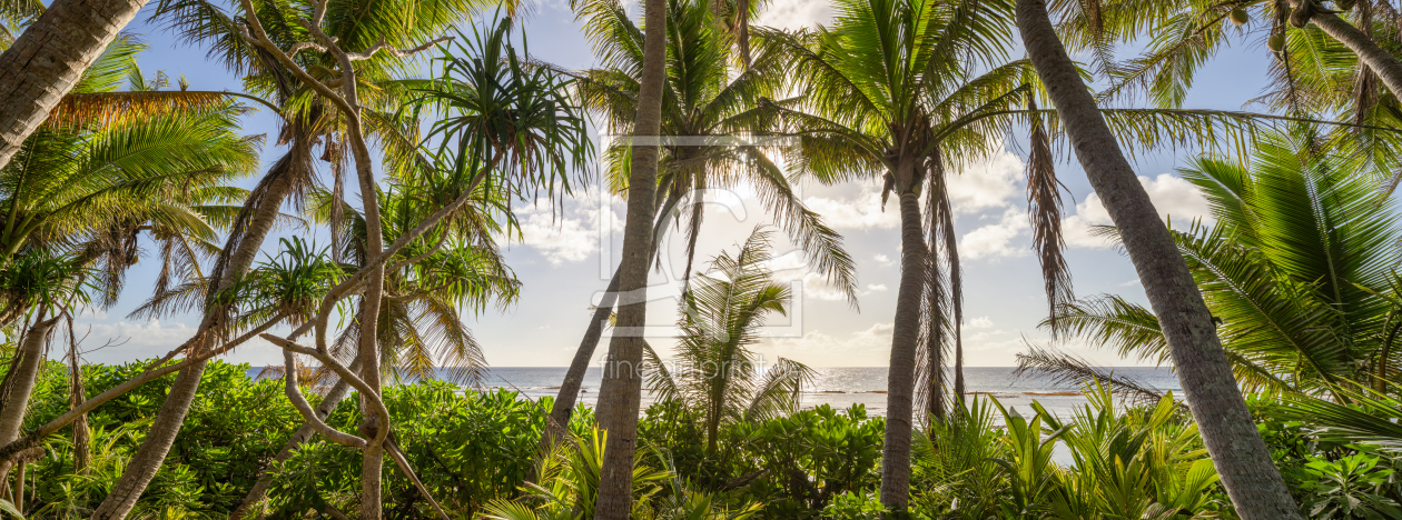 Bild-Nr.: 12835338 Palmenstrand Panorama erstellt von eyetronic