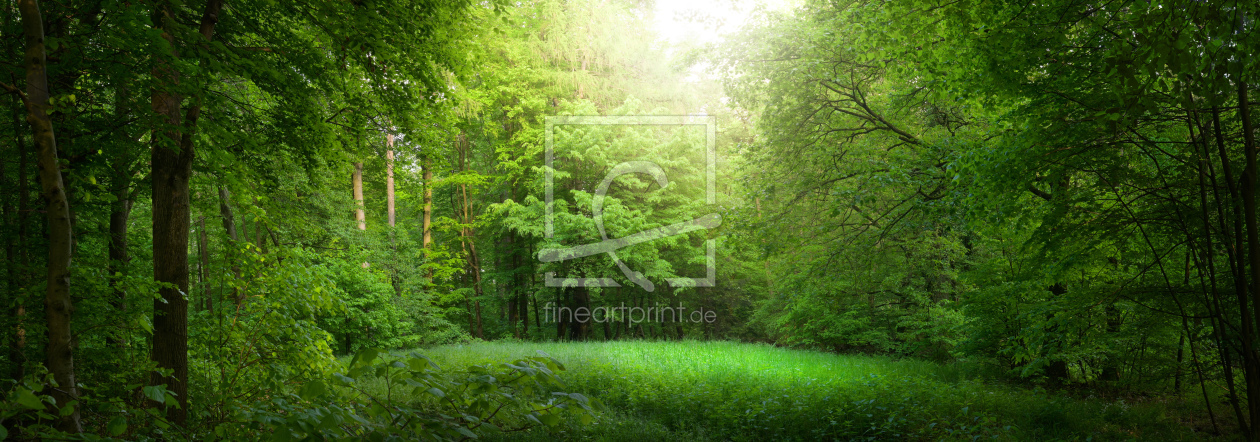 Bild-Nr.: 12835395 Verträumte Landschaft in einem grünen Wald erstellt von Smileus