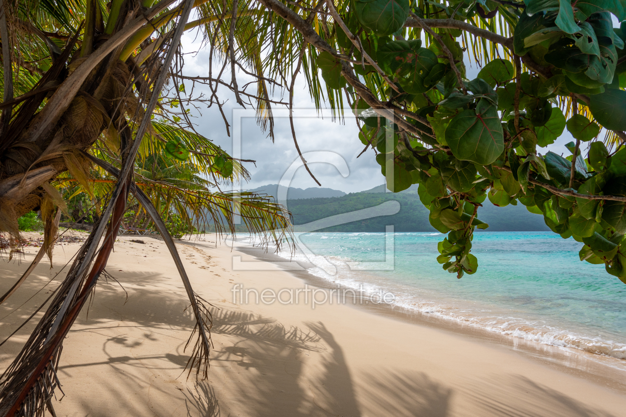 Bild-Nr.: 12835474 Strand in Samana erstellt von Bettina Schnittert