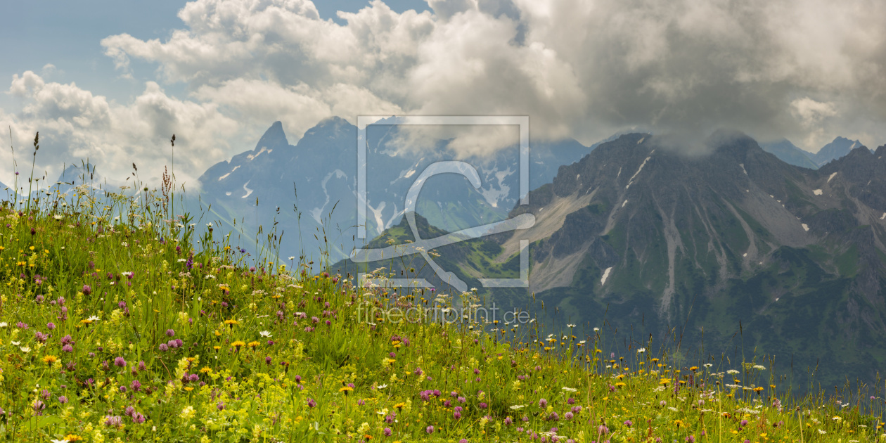 Bild-Nr.: 12836123 Sommer in den Allgäuer Alpen erstellt von Walter G. Allgöwer