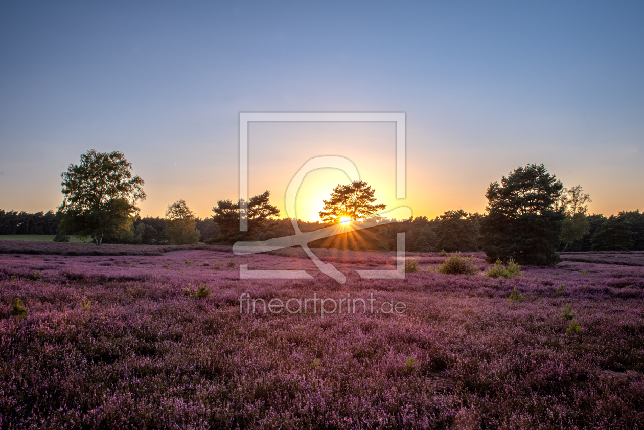 Bild-Nr.: 12840965 Sonnenuntergang in der Heide erstellt von Tanja Riedel