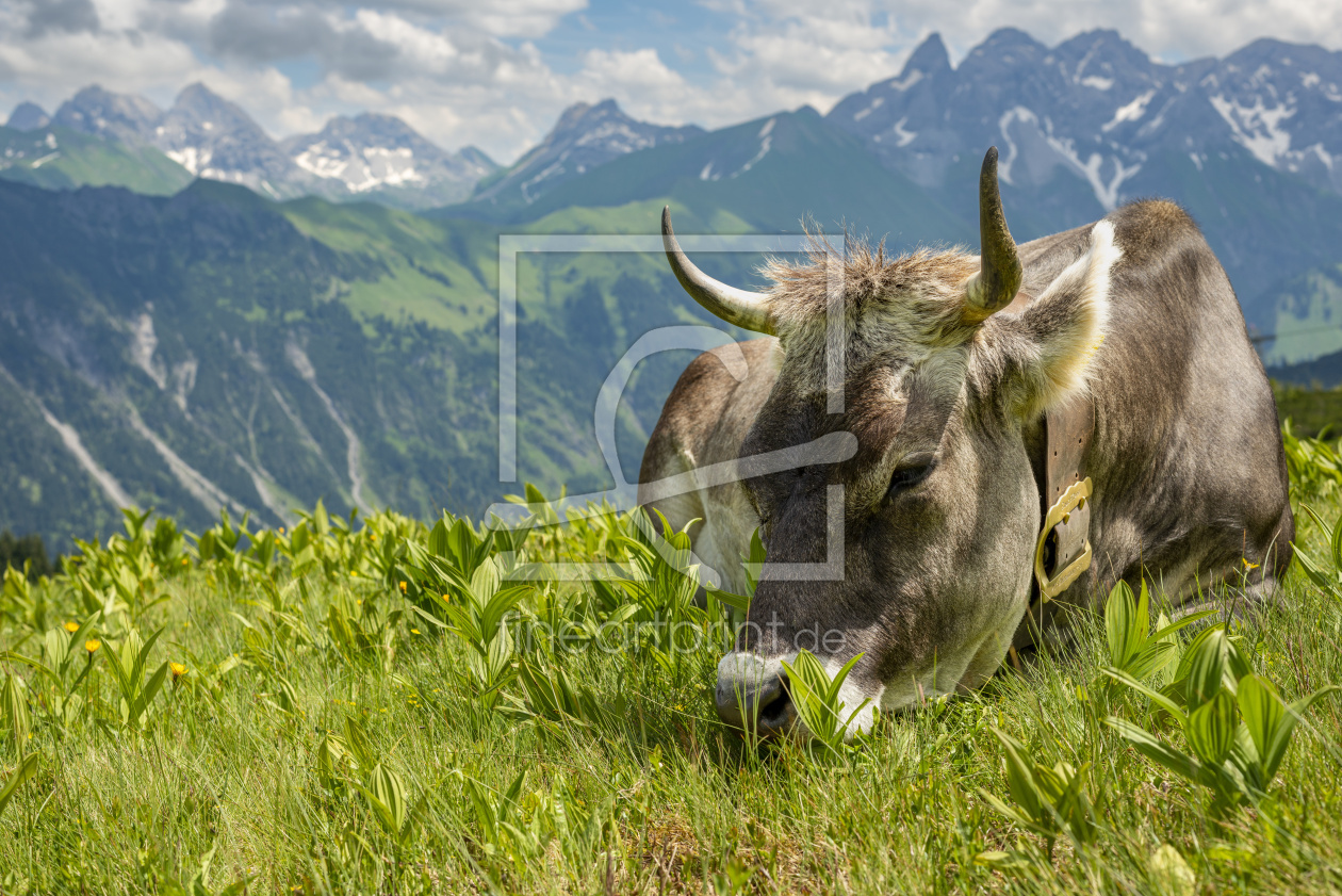 Bild-Nr.: 12844180 relaxen im Allgäu erstellt von Walter G. Allgöwer