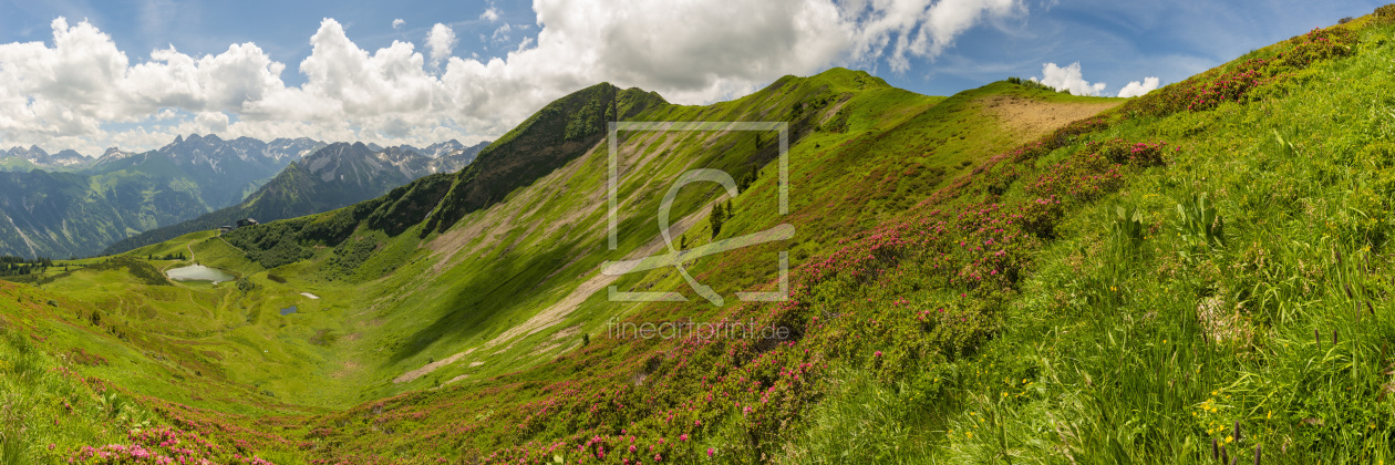 Bild-Nr.: 12845520 Alpenrosen am Fellhorn erstellt von Walter G. Allgöwer