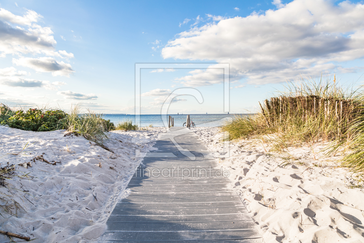 Bild-Nr.: 12848394 Ostsee Stranddünen    erstellt von Ursula Reins