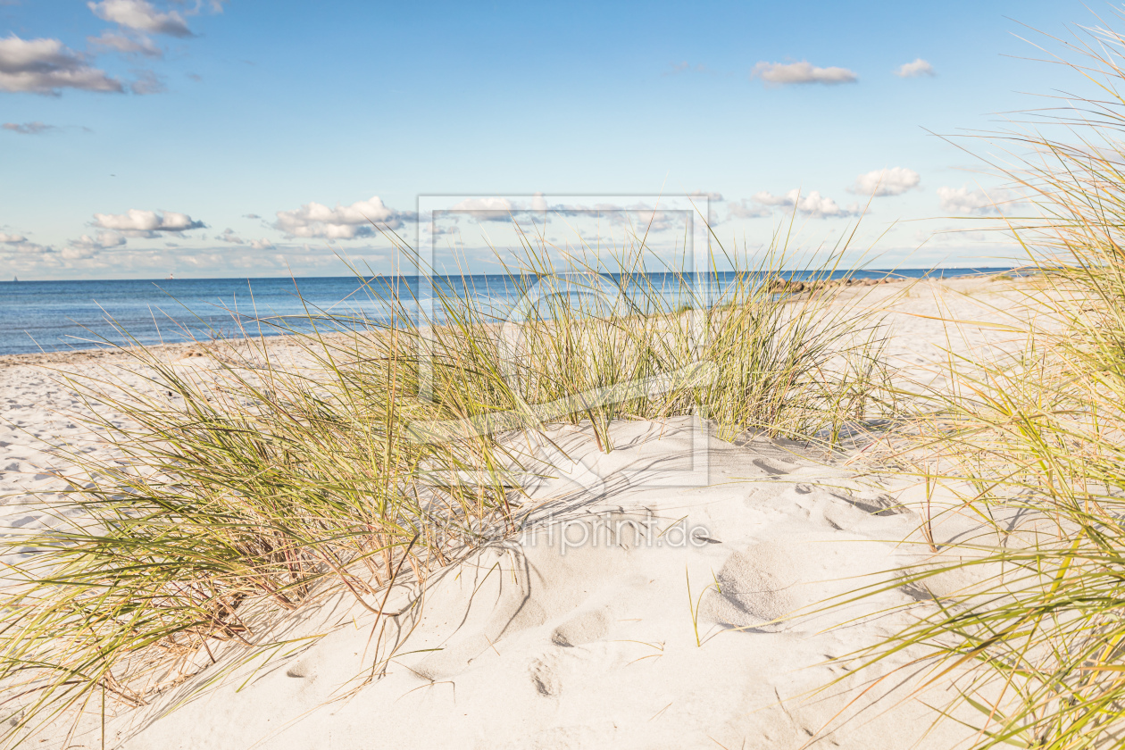 Bild-Nr.: 12848399 Ostsee Dünenstrand erstellt von Ursula Reins