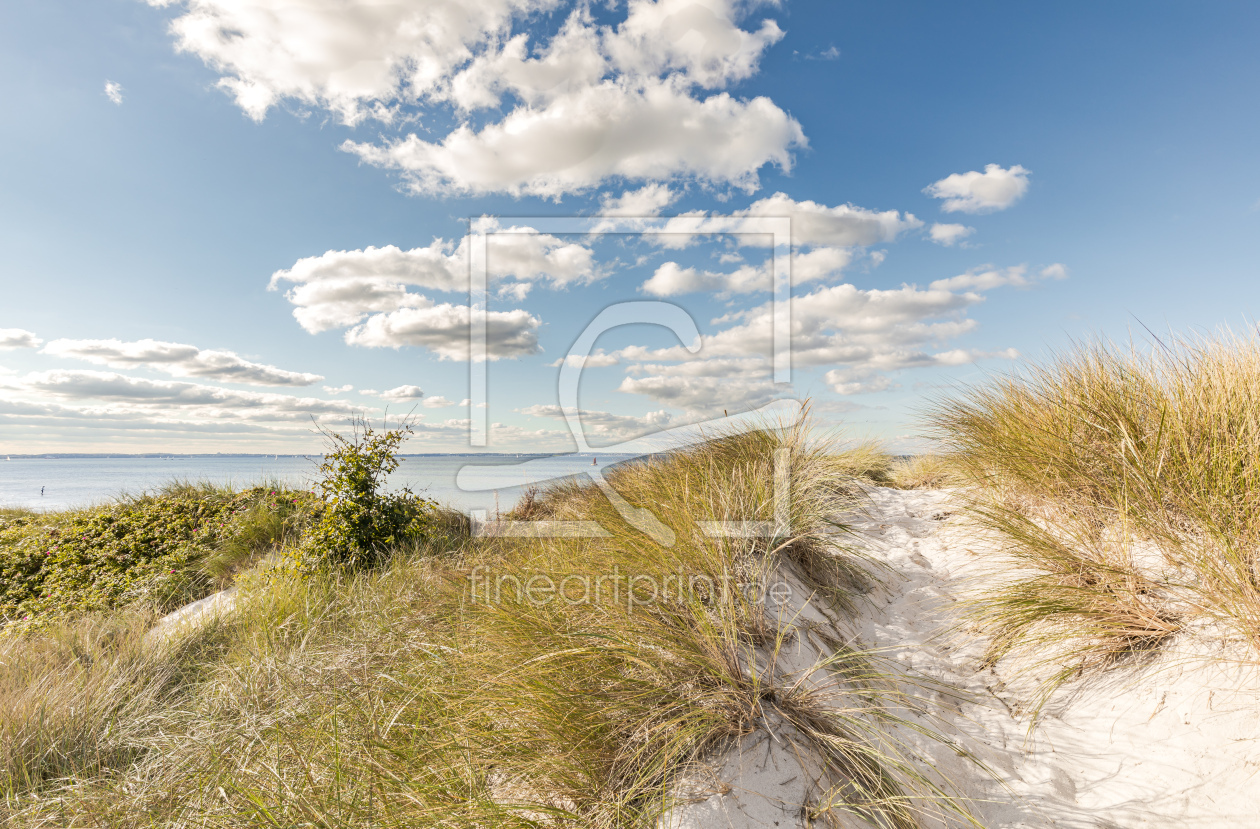 Bild-Nr.: 12848711 Ostsee Weißdüne erstellt von Ursula Reins