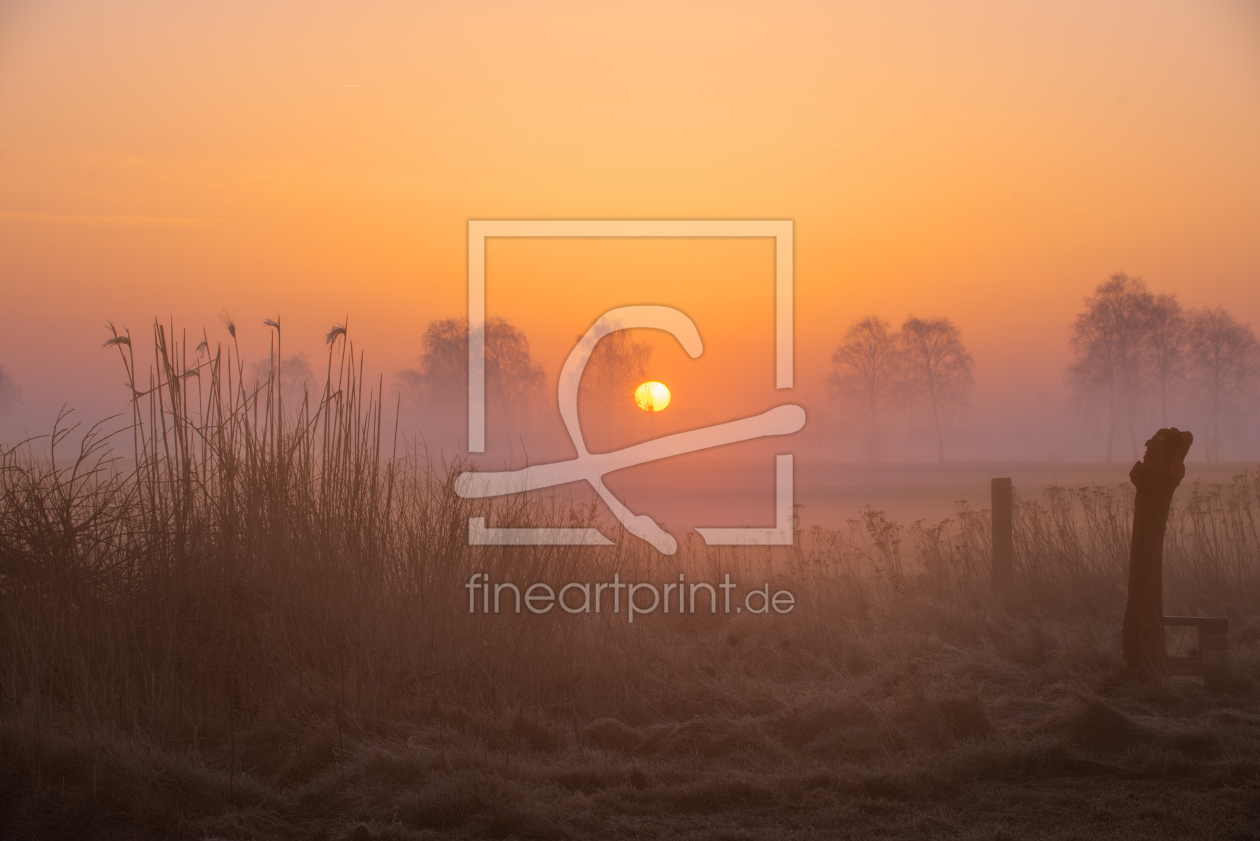 Bild-Nr.: 12883231 Morgenzauber im Nebel  erstellt von Tanja Riedel