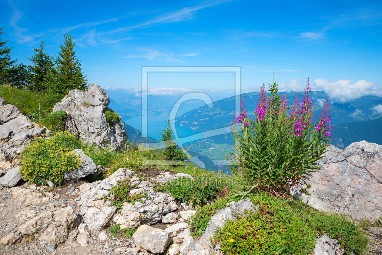 Bild-Nr.: 12890290 Thunerseeblick Schynige Platte erstellt von SusaZoom