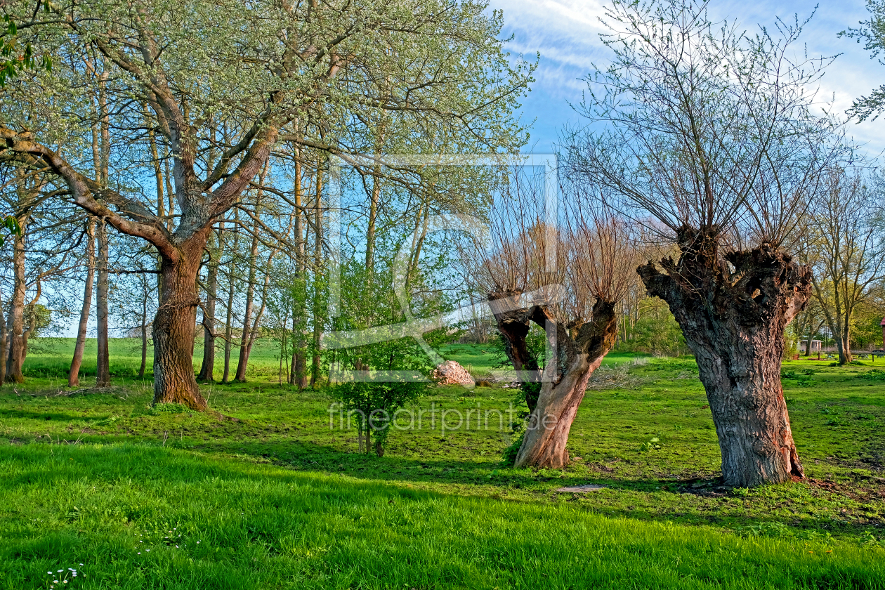 Bild-Nr.: 12890586 Landschaft auf Rügen erstellt von Ostfriese