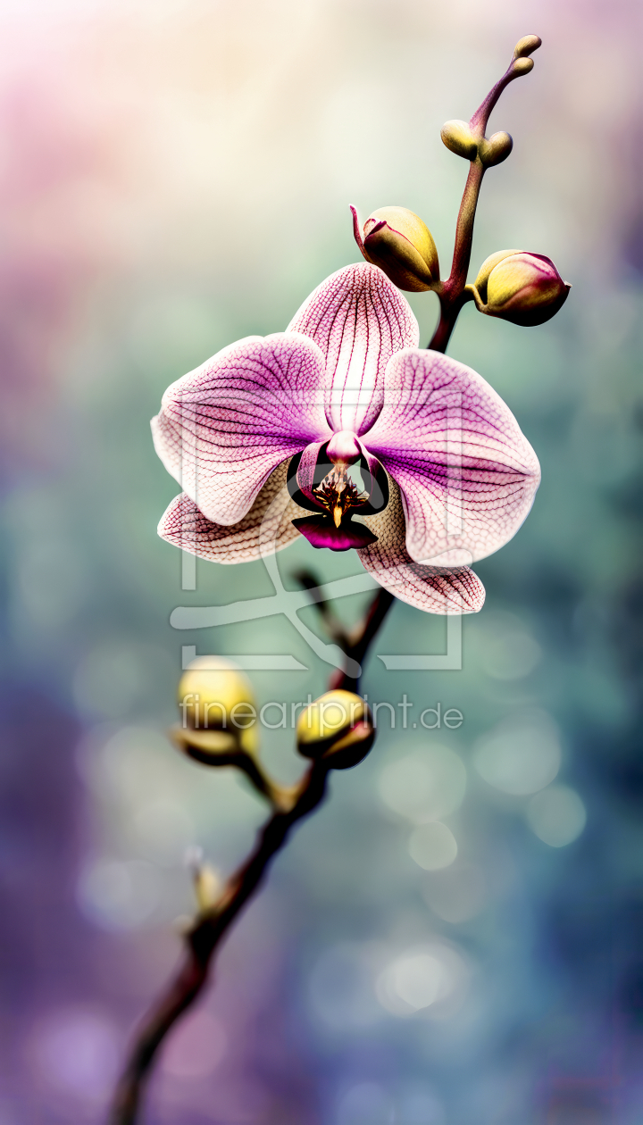 Bild-Nr.: 12890812 Orchideenzweig KI erstellt von XYRIUS