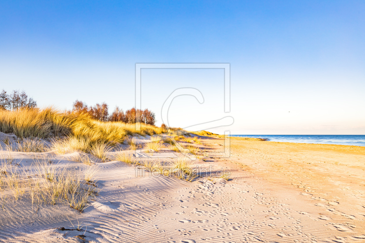 Bild-Nr.: 12890900 Goldene Stranddünen erstellt von Ursula Reins