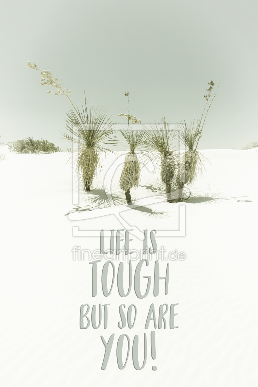 Bild-Nr.: 12890919 Life is tough but so are you - Wüstenimpression erstellt von Melanie Viola