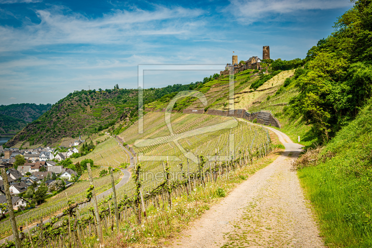 Bild-Nr.: 12891025 Burg Thurant 93 erstellt von Erhard Hess