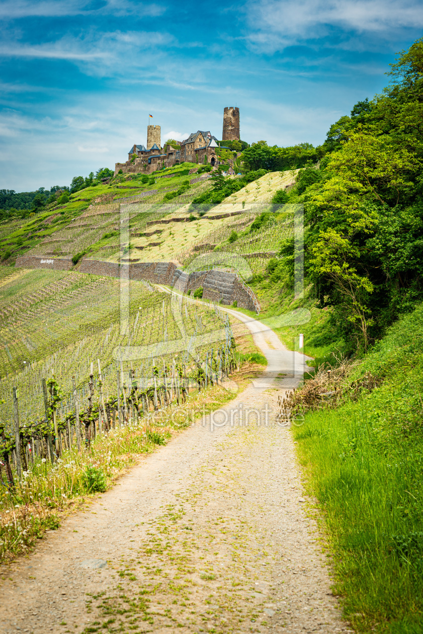 Bild-Nr.: 12891027 Burg Thurant 99 erstellt von Erhard Hess