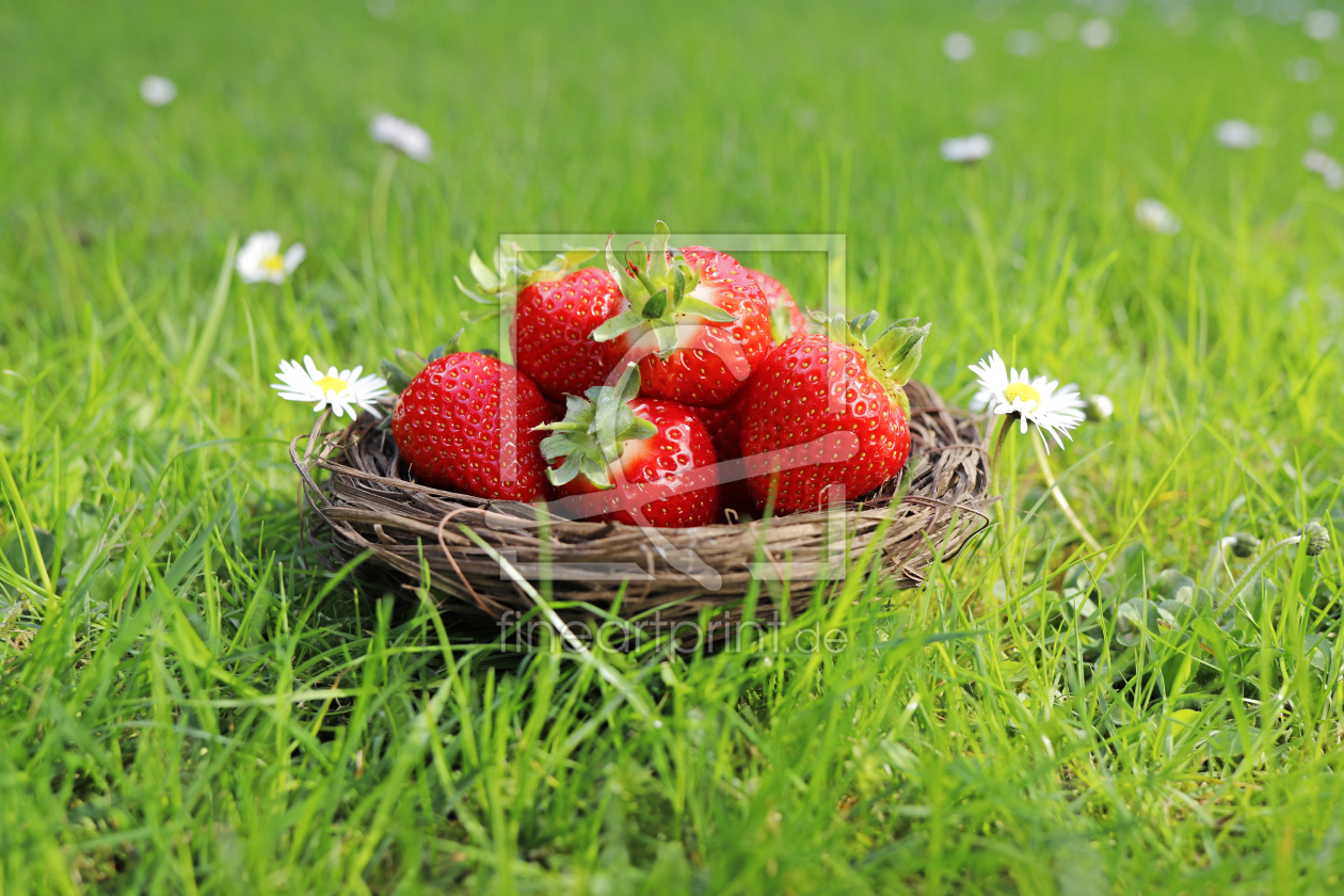 Bild-Nr.: 12891095 Erdbeeren erstellt von ninami