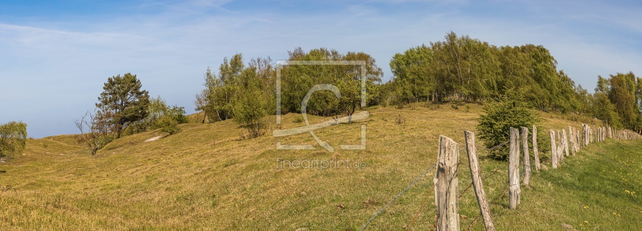 Bild-Nr.: 12891103 Braundünen an der Ostsee erstellt von Ursula Reins