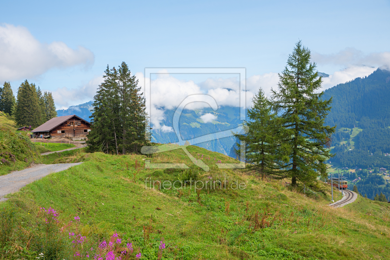 Bild-Nr.: 12891116 Wanderweg Mürren-Grütschalp erstellt von SusaZoom