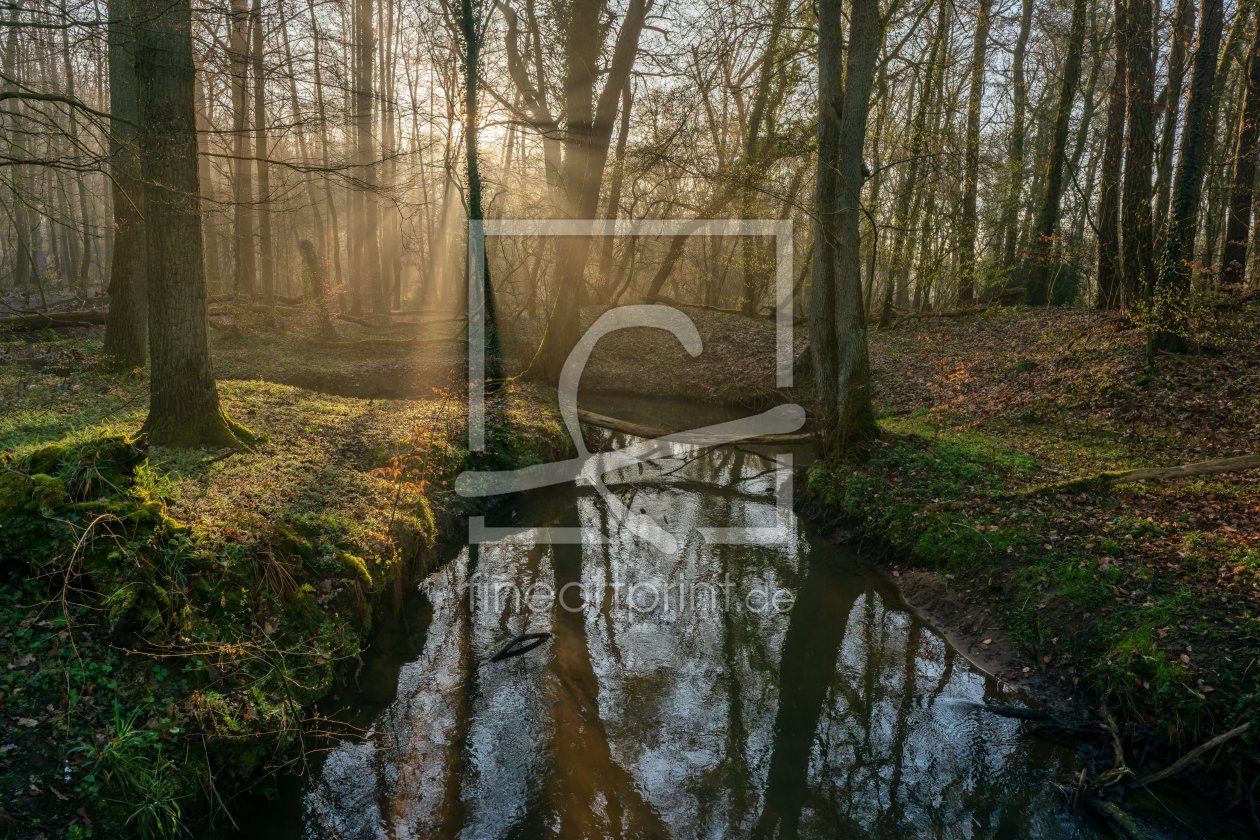 Bild-Nr.: 12891235 Sonnenaufgang am Waldbach erstellt von volker heide