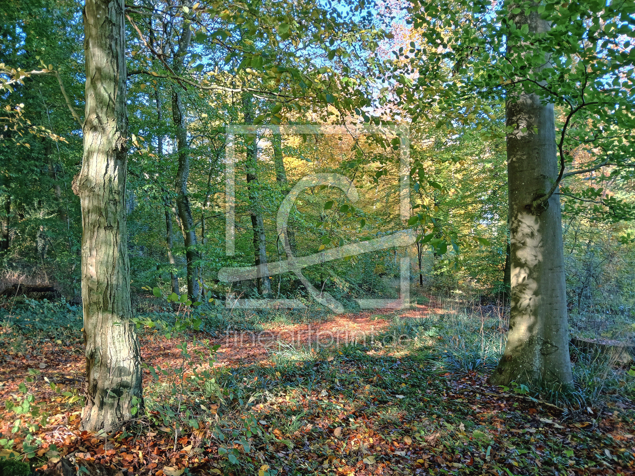 Bild-Nr.: 12891398 Frühlingserwachen erstellt von Ostfriese