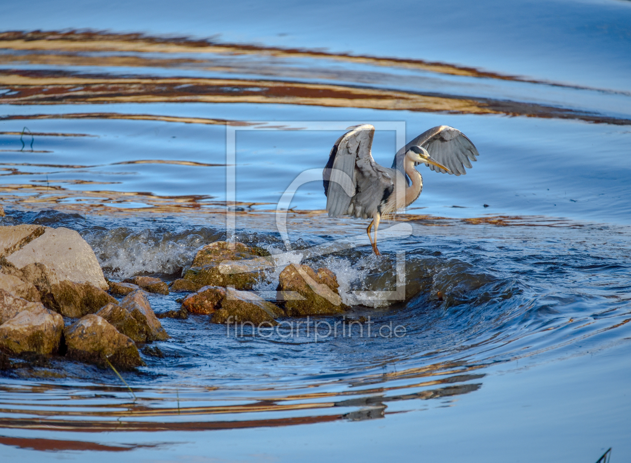 Bild-Nr.: 12894957 An der Donau erstellt von Gregor Handy