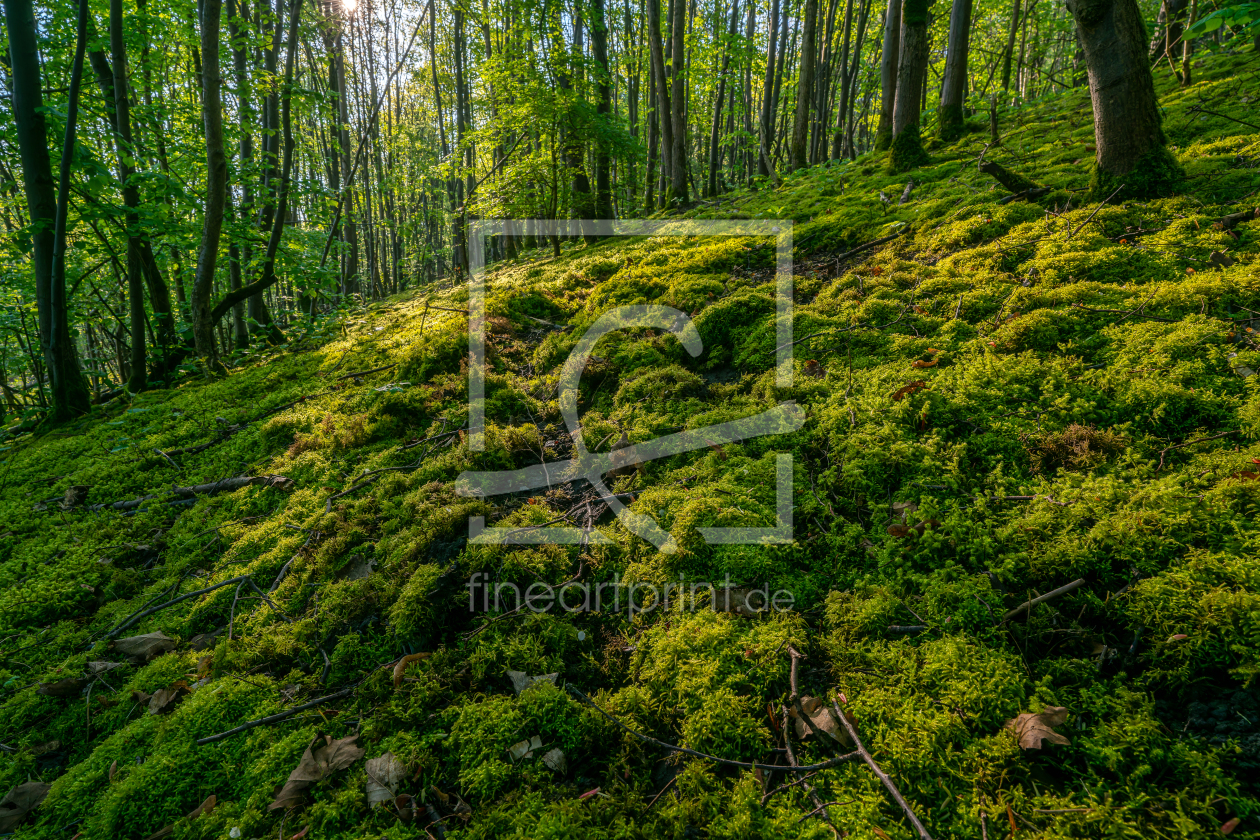 Bild-Nr.: 12895468 renaturierte Bergehalde im Ruhrgebiet erstellt von volker heide