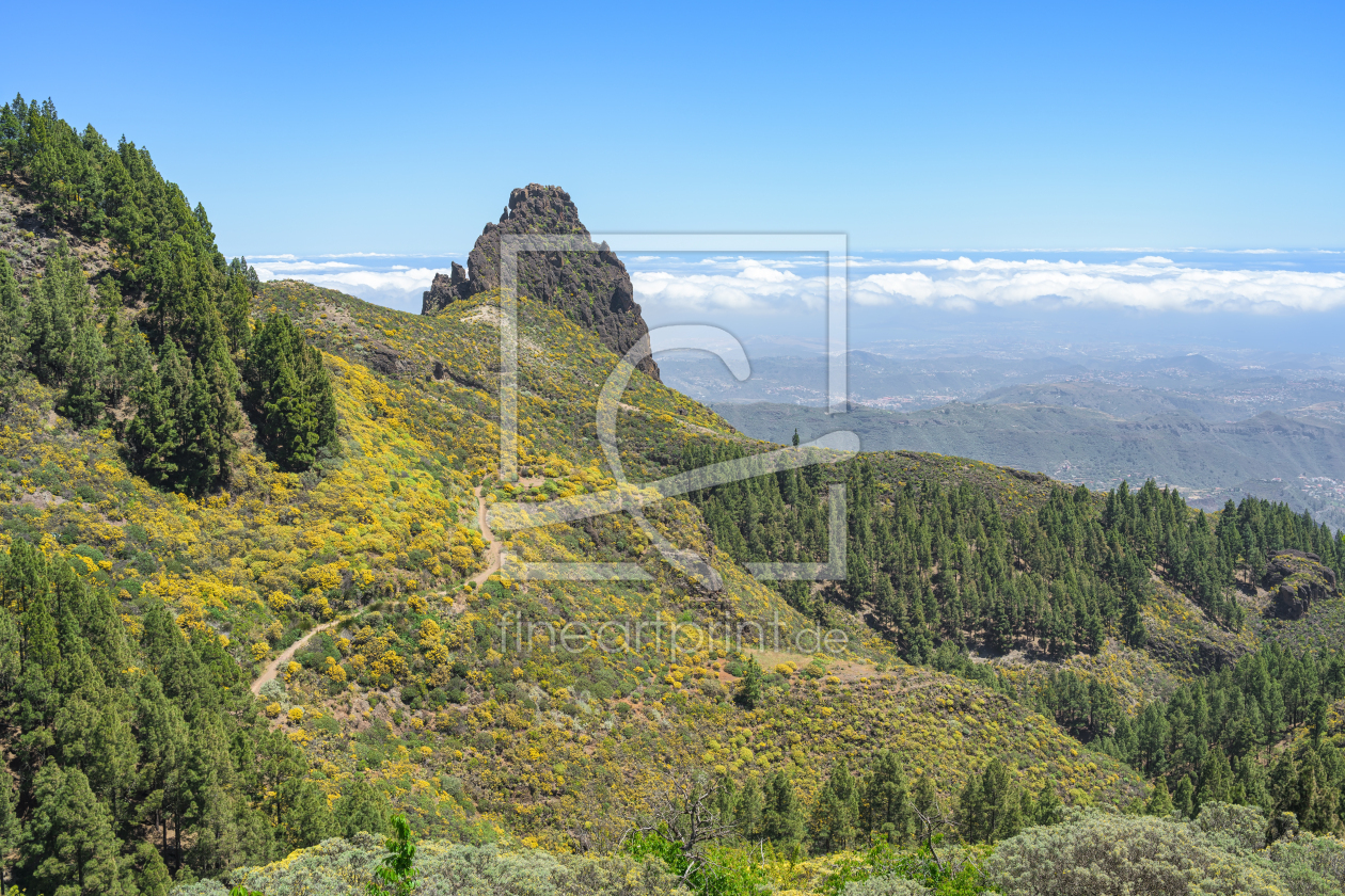 Bild-Nr.: 12897899 Mirador Caldera los Marteles Gran Canaria erstellt von Michael Valjak