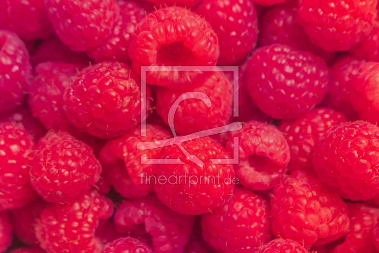 Bild-Nr.: 12899140 Frische Himbeeren in Nahaufnahme erstellt von Sandra Höfer