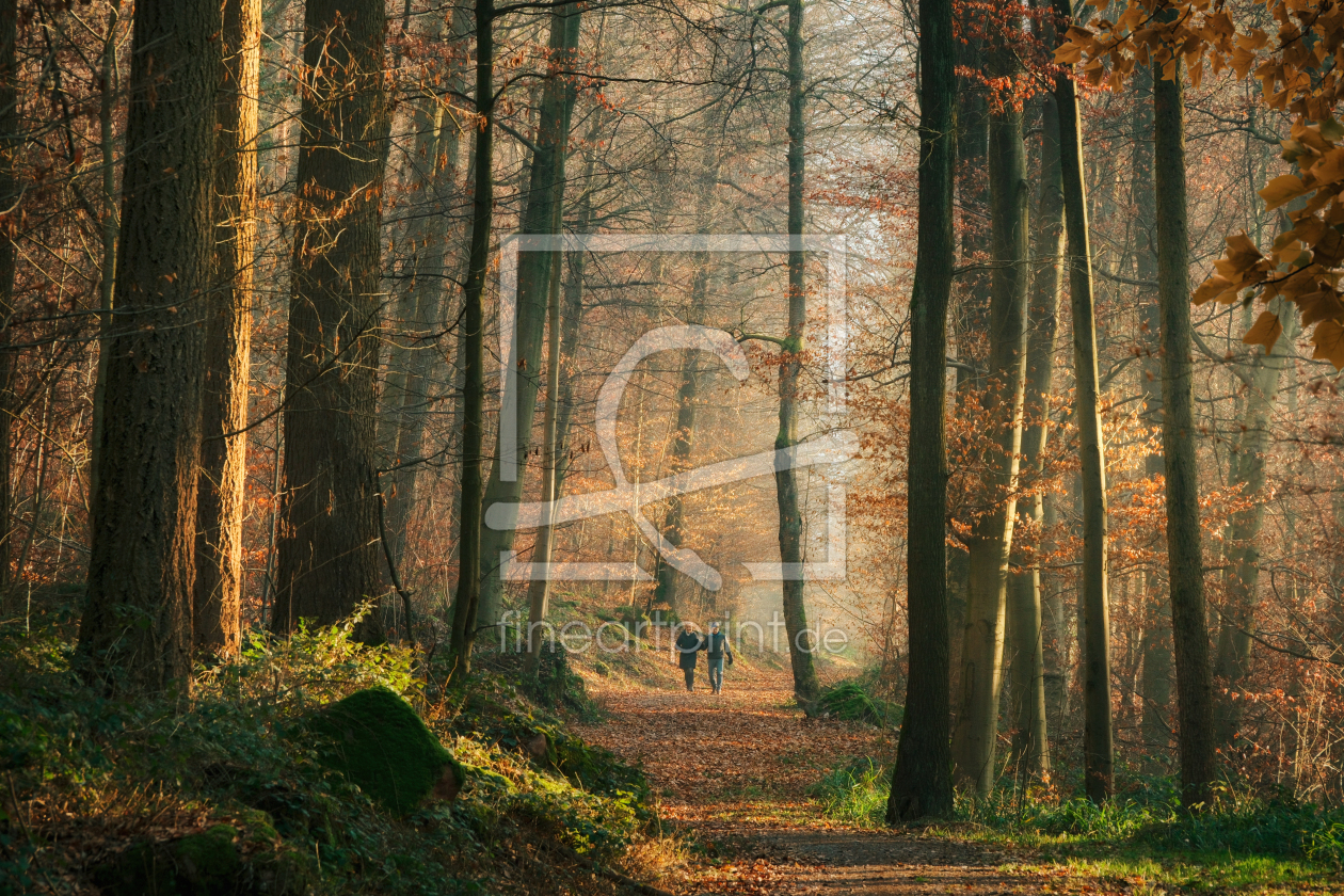 Bild-Nr.: 12905460 Spaziergang an einem sonnigen Herbsttag im Wald erstellt von Smileus