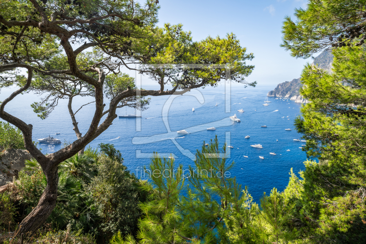 Bild-Nr.: 12907613 Die Insel Capri im Sommer erstellt von eyetronic
