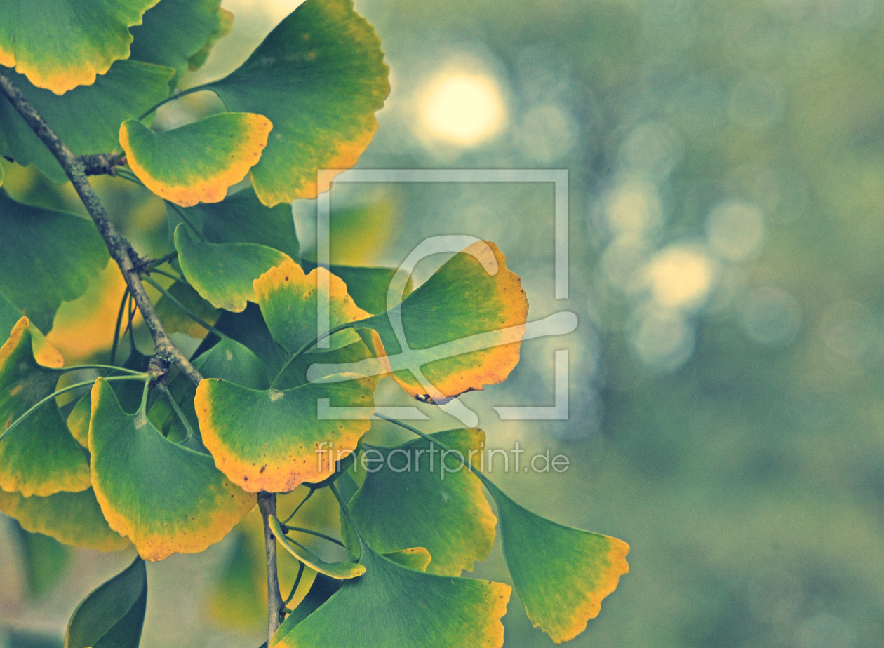 Bild-Nr.: 12915490 Ginkgo art erstellt von GUGIGEI