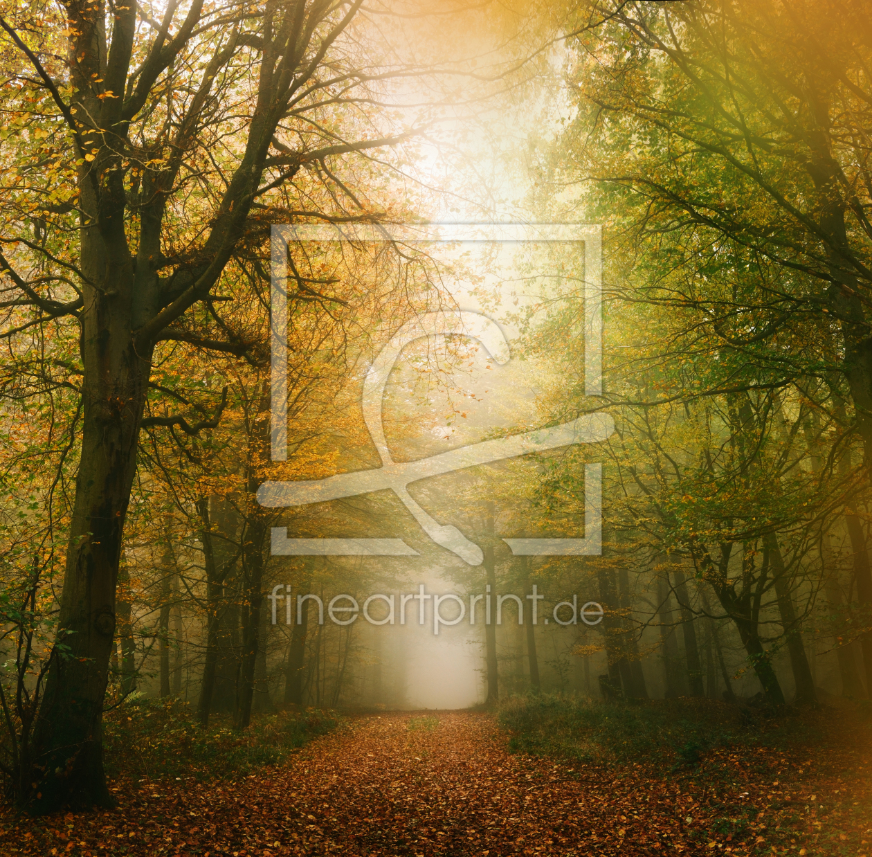 Bild-Nr.: 12915599 Verträumte goldene Stimmung in einem nebligen Wald erstellt von Smileus