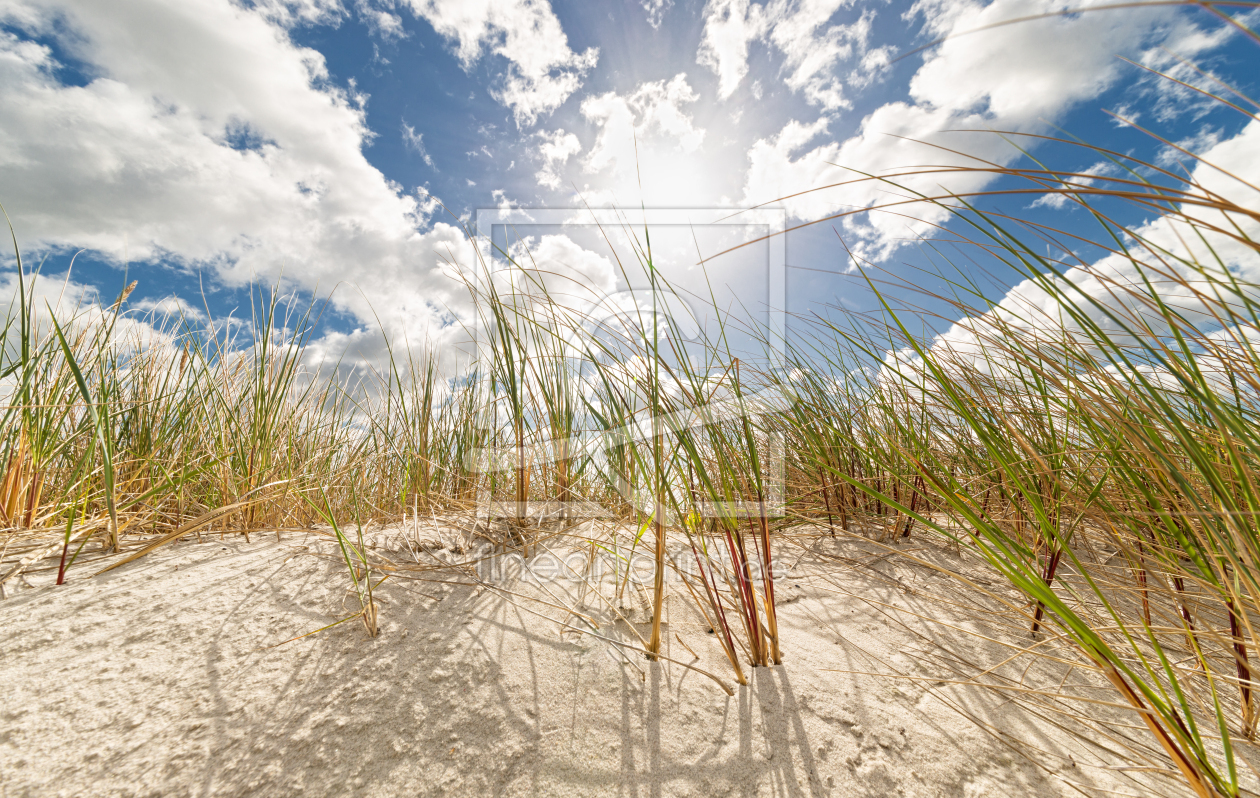 Bild-Nr.: 12915932 Dünen im Frühling erstellt von Nordbilder