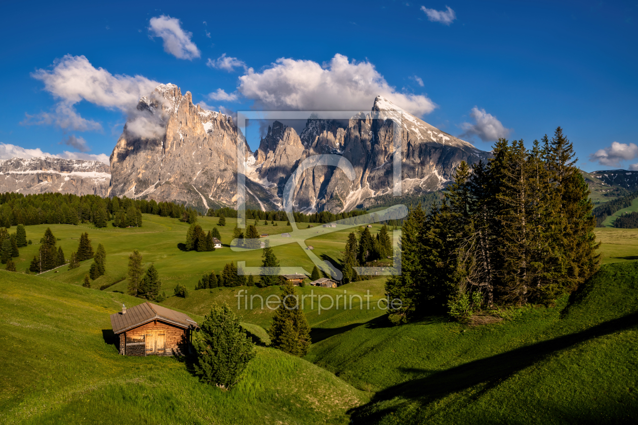 Bild-Nr.: 12935381 Sommer auf der Seiser Alm Südtirol erstellt von Achim Thomae