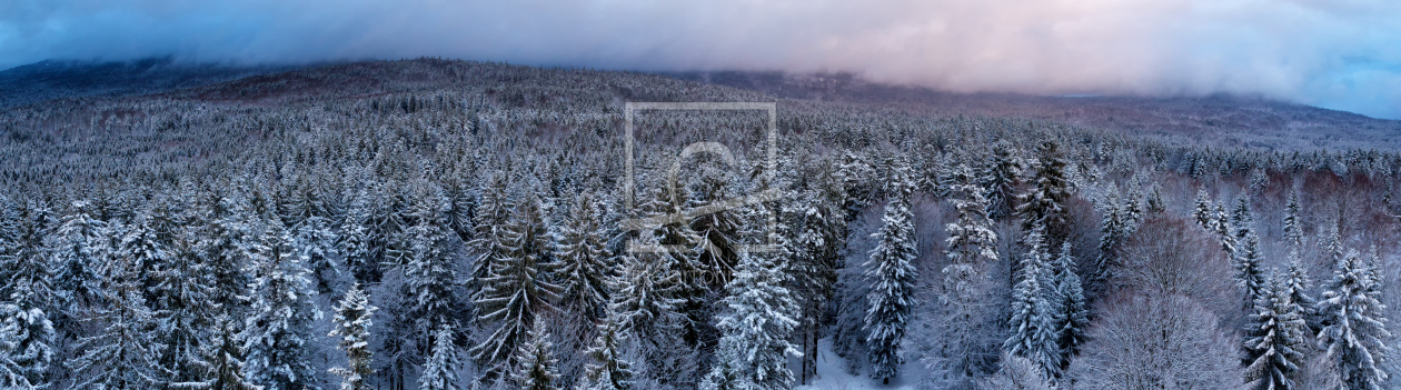 Bild-Nr.: 12938445 Bayrischer Wald im Winter erstellt von DirkR
