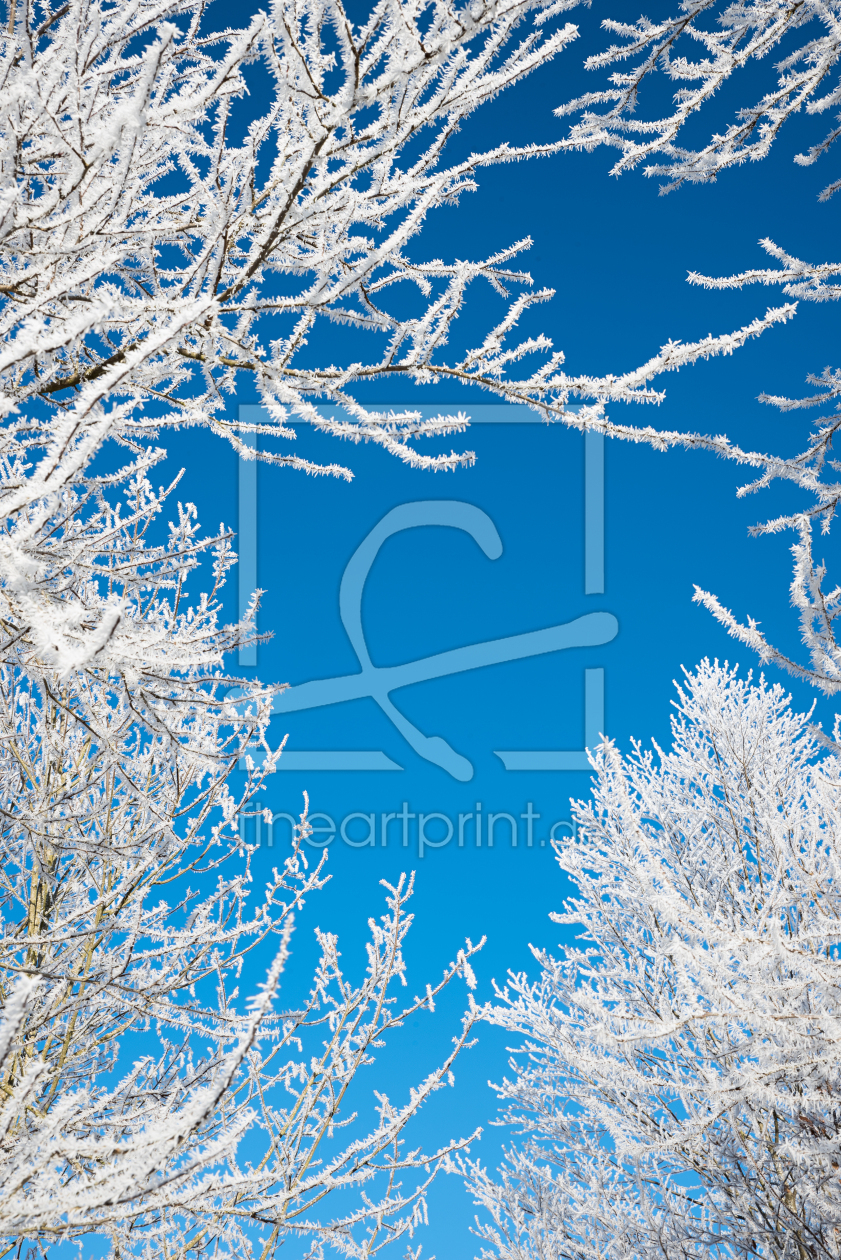 Bild-Nr.: 12939723 Frostige Zweige erstellt von SusaZoom