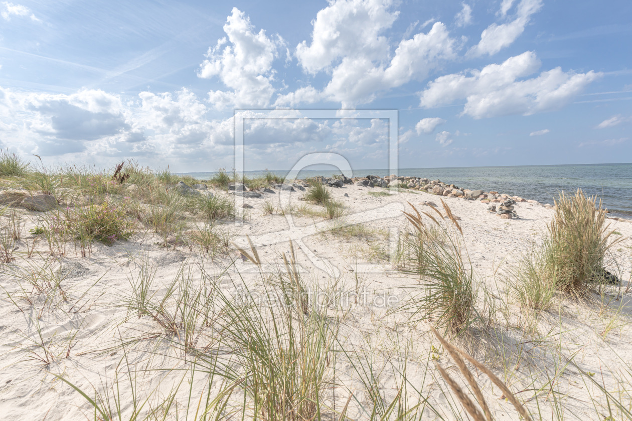 Bild-Nr.: 12939810 Strandhafer im Wind  erstellt von Ursula Reins