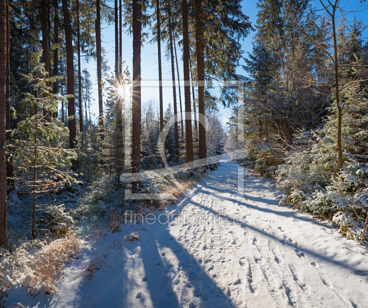 Bild-Nr.: 12939915 Winterwaldweg erstellt von SusaZoom
